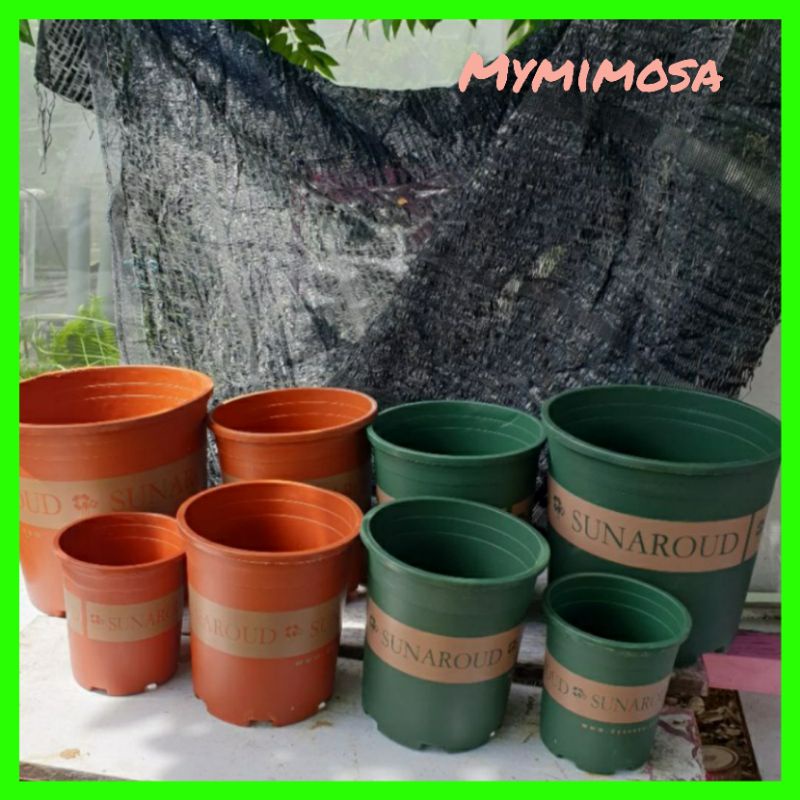 Gallon Garden Flower Pots & Planters 0.5 2 Gallon Planter Pots Pasu Bunga Shopee Malaysia