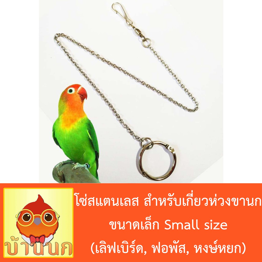 Stainless Steel Chain Clip For Bird Stand Small (Lovebird Popus Hongyok