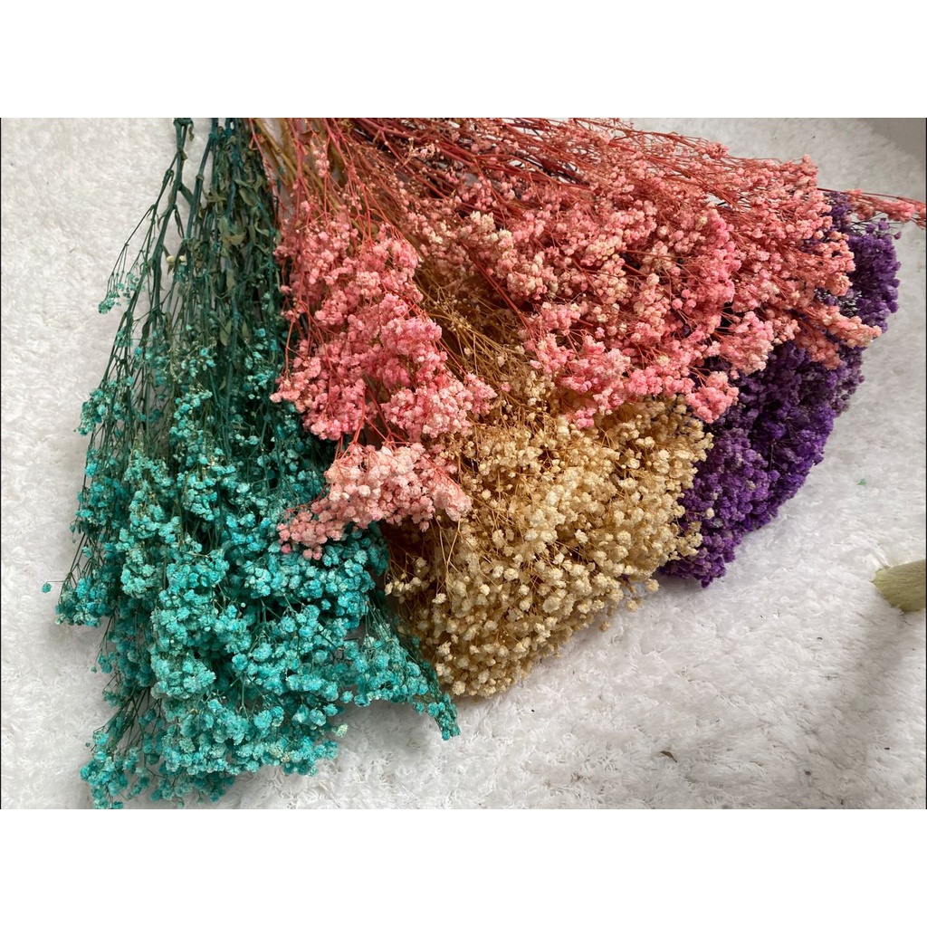 Preserved Dried Gypsophila Dried Dry baby breath Bunga kering Shopee