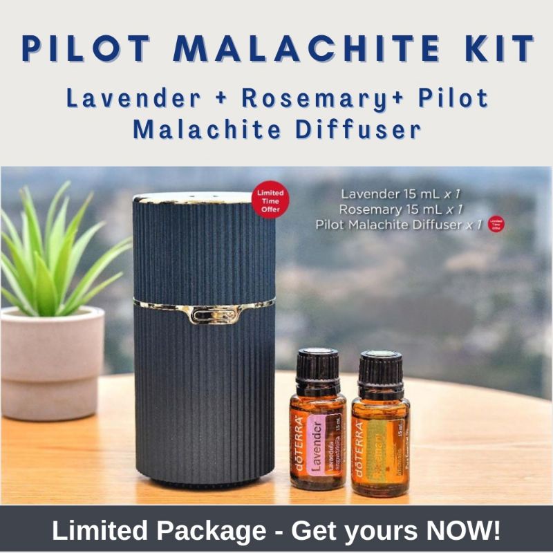 pilot Diffuser Pilot Midnight Kit / Pilot Malachite Kit Shopee Malaysia
