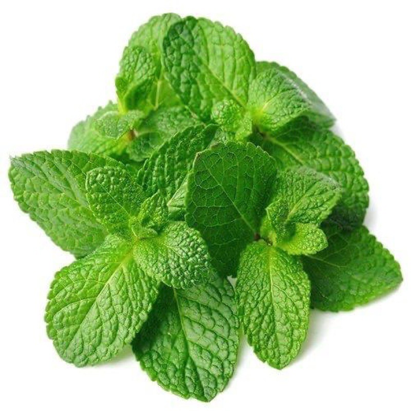  VEGETABLES MINT LEAVES / PUDINA 150 gram Shopee Malaysia
