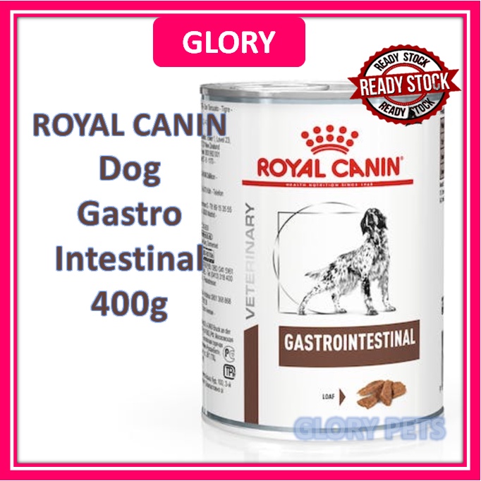 Royal Canin Gastrointestinal Dog Wet Food Gastro Intestinal Pet Canine