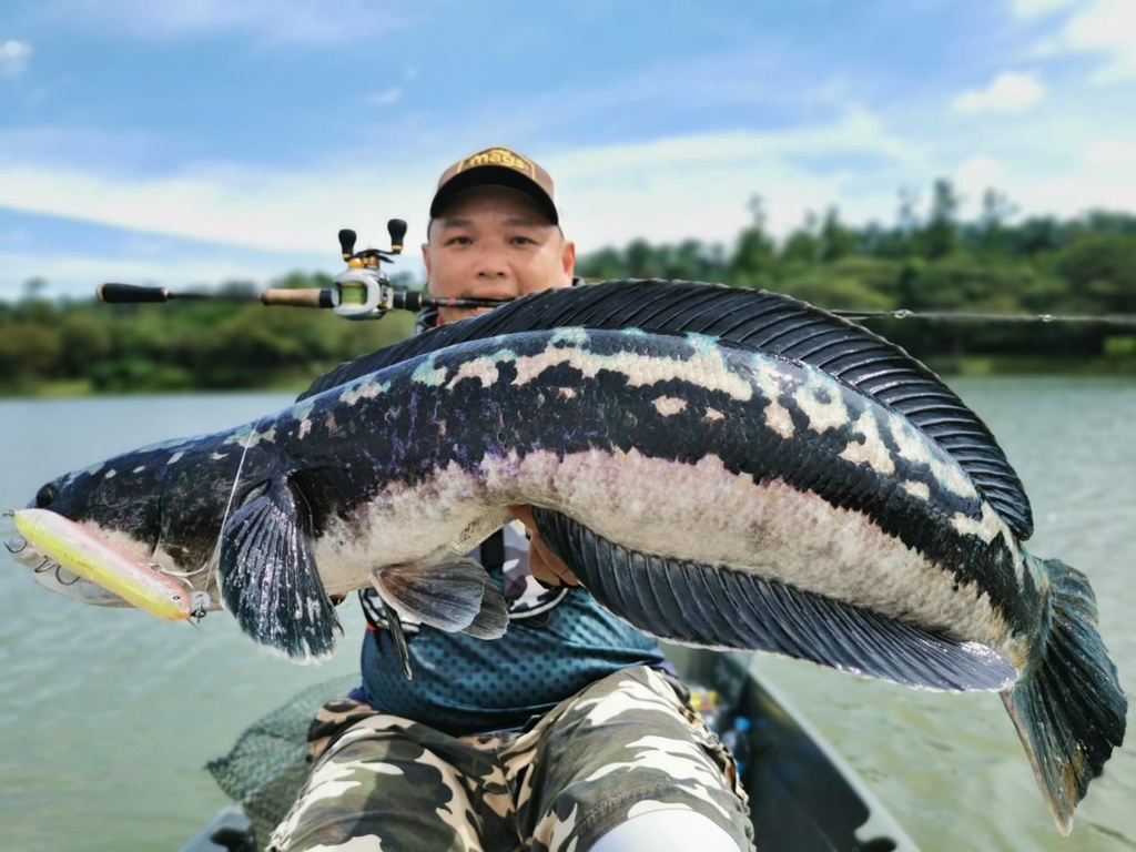 EXP EMO 12X 150m Casting Braided Fishing Line Ultra Sensitive Smooth