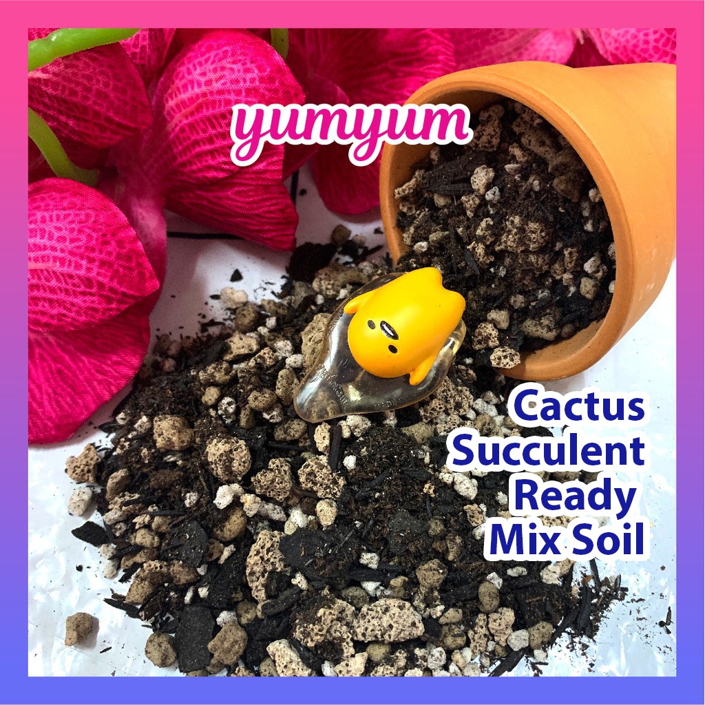 YUMYUM Tanah Cactus dan Succulent 1 Litre Ready Mix Soil, 多肉仙人掌颗粒土