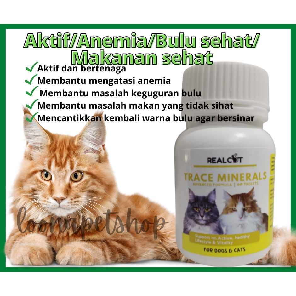 Vitamin Kucing Cat Supplement Micro Mineral Aktif Cantikkan Bulu