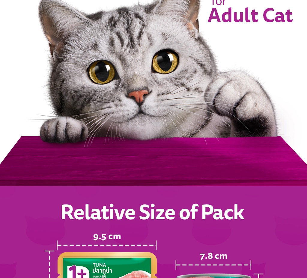 WHISKAS Wet Cat Food for Adult Cat Mackerel, Ocean Fish, Mackerel