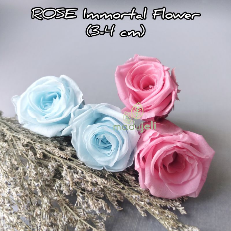 1pc Preserved real natural rose flower (34cm) Shopee Malaysia