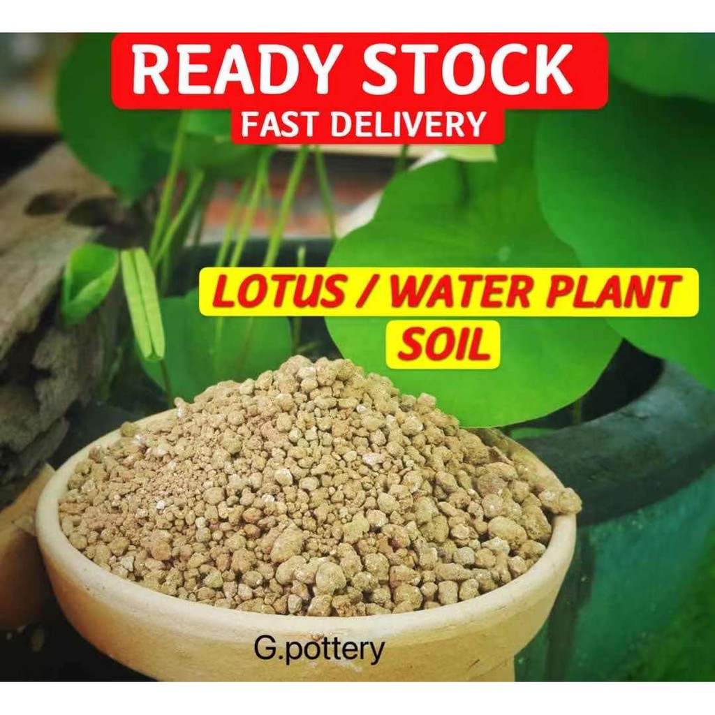 lotus & water plant & water lily soil for gardening （tanah liat）(mud) Shopee Malaysia