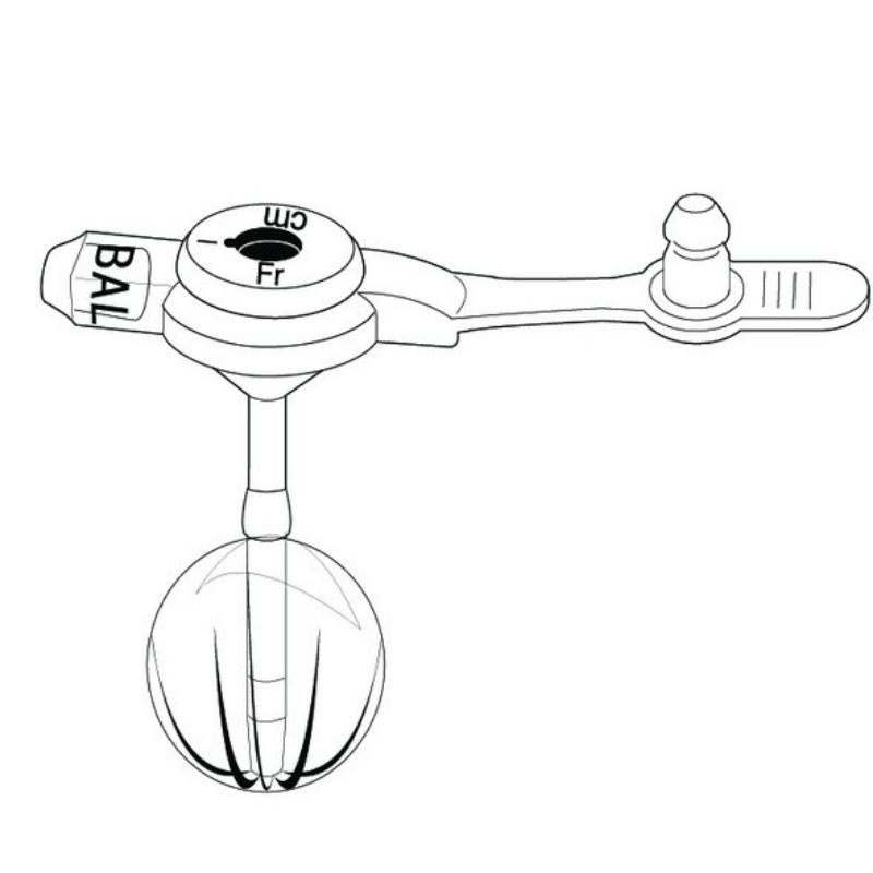 MICKEY Low Profile Gastrostomy Feeding Tube Shopee Malaysia