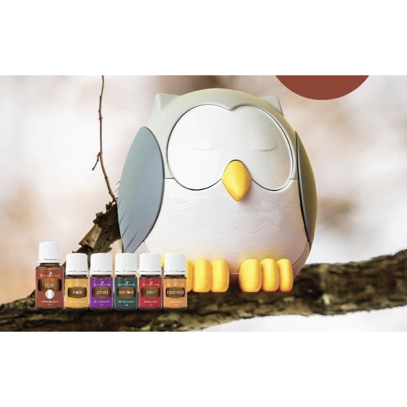 YoungLivings MEO Kits (Owl diffuser, Haven diffuser and Shelly Turtle