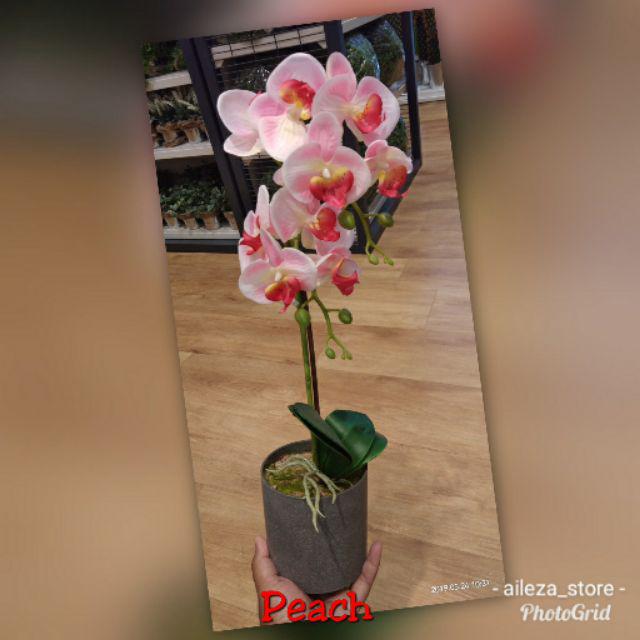 Kaison Artificial Potted Plant Purple & White Orchid Pokok Bunga Hiasan
