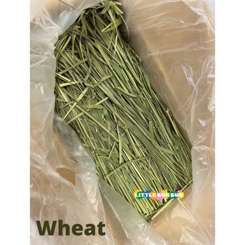 SALESPremium dried Timothy hay/ wheatgrass/orchard/Oat/barley🌾 dry