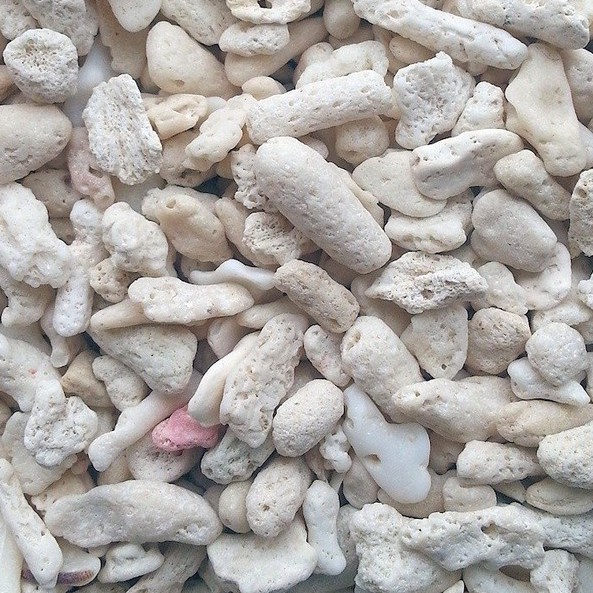 (3kg) Natural Coral Bone Gravel for Aquarium Tank Filter Media Raise pH
