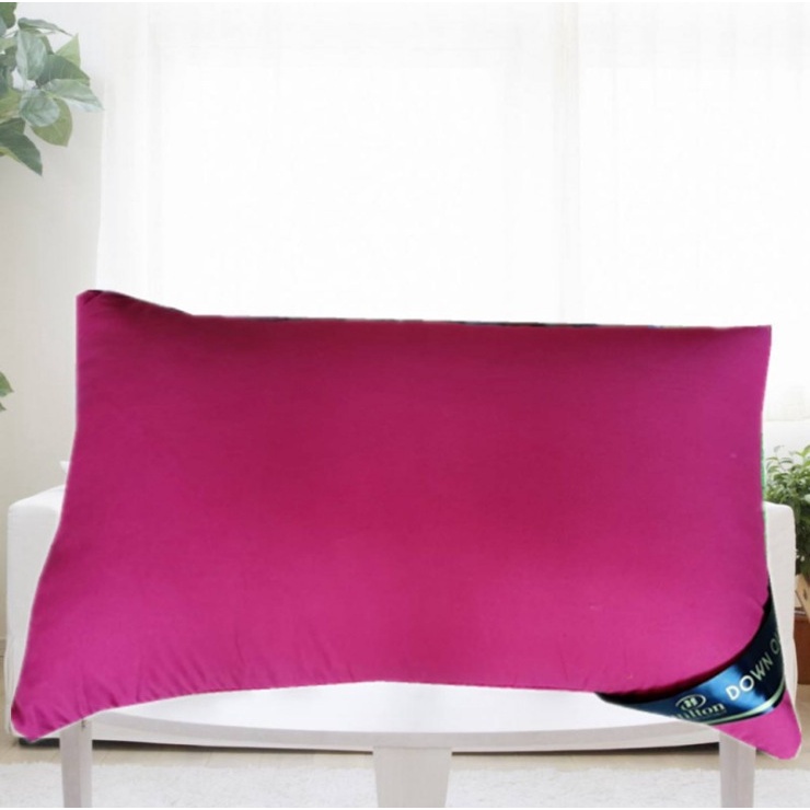 1kg Hilton Five Star Hotel Grade Pillow 11 Color Options Luxurious