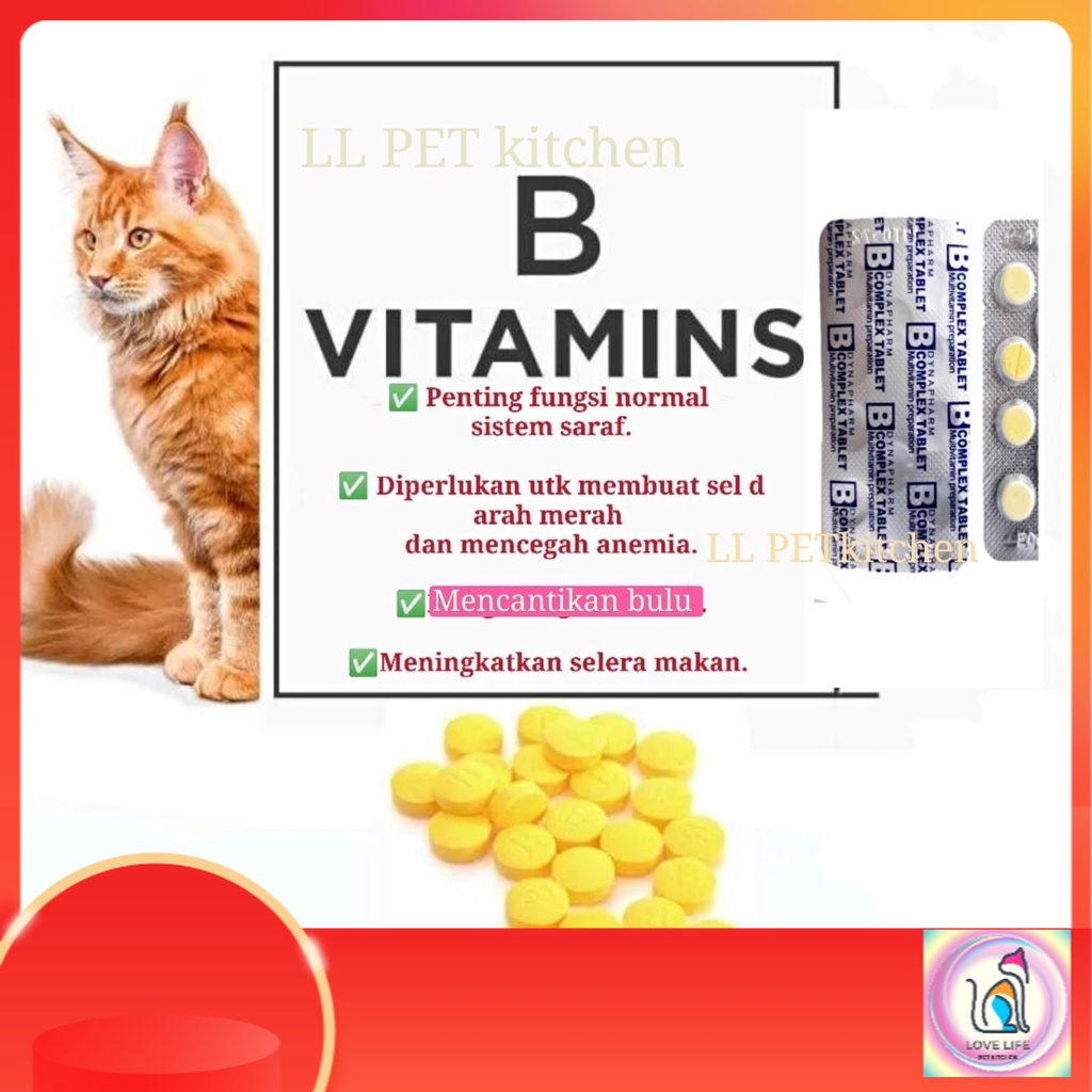 Kucing Dan Anjing Vitamin B Complex Komplek/cat supplement/cat vitamin
