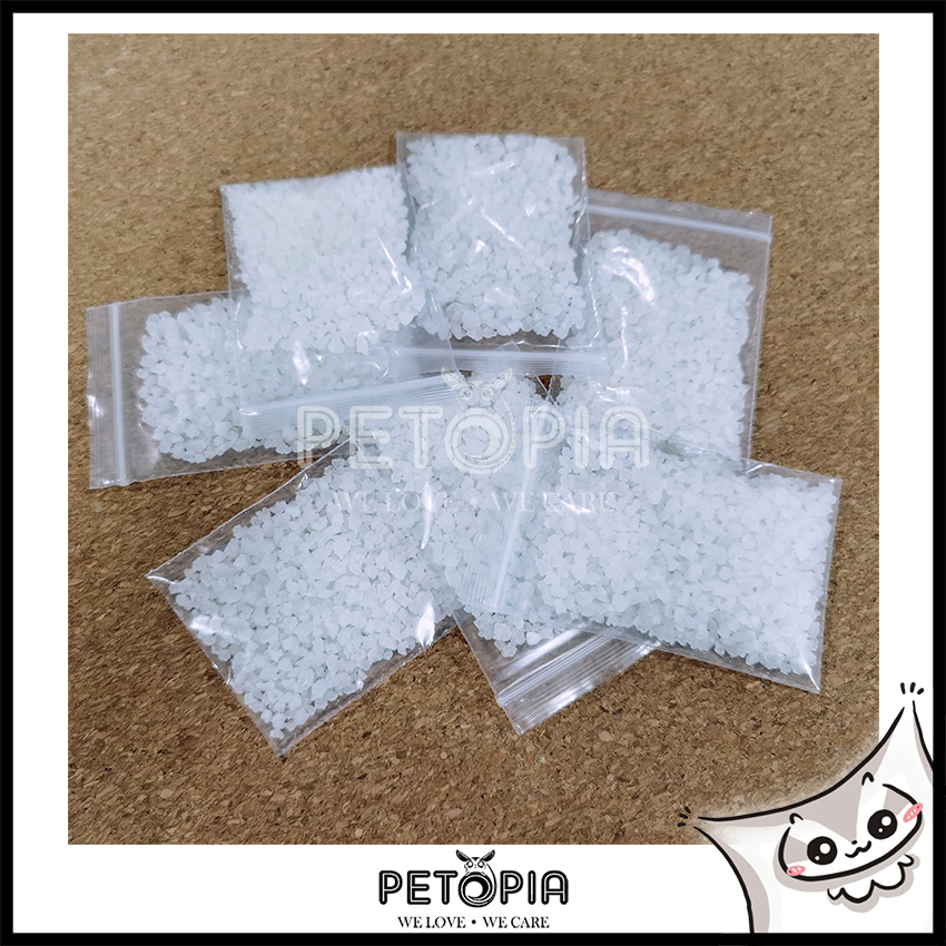 Insect Water Gel Crystals Polymer [10g] PETOPIA Insects Water Source