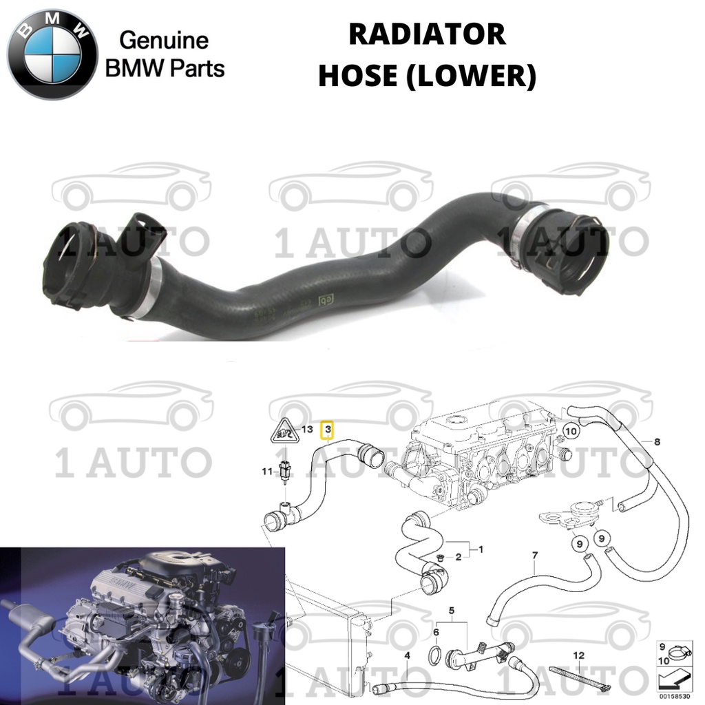 (GENUINE BMW PARTS) LOWER RADIATOR HOSE BMW E46 1.9 SOHC M43 ENGINE