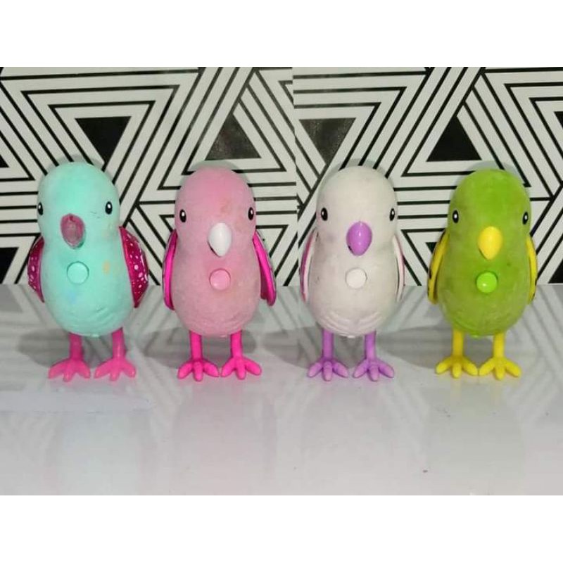 Little live pet birds preloved | Shopee Malaysia