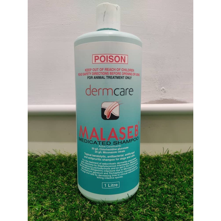 Malaseb Medicated Shampoo Dermcare Cats and Dogs / Shampoo Kucing