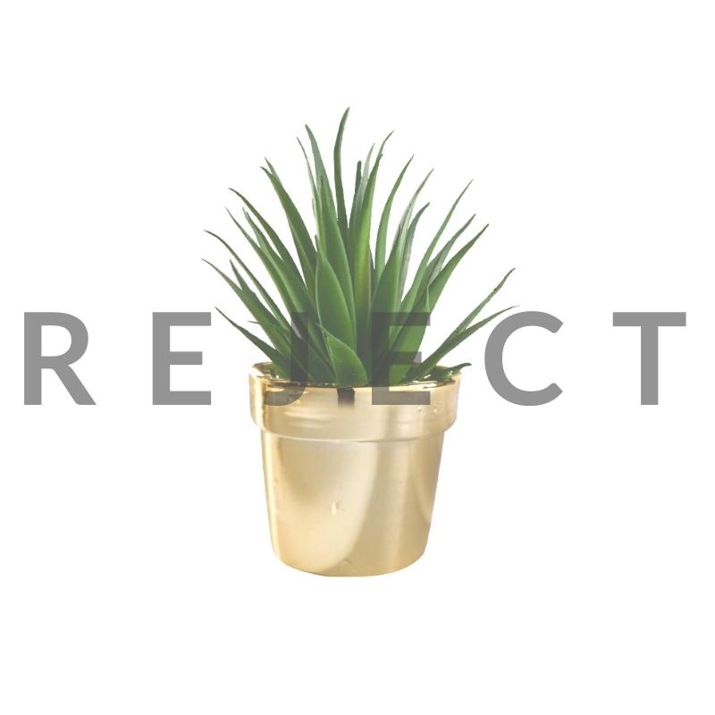 REJECT Artificial Fake Realistic Monstera Dieffenbachia Yucca Succulent