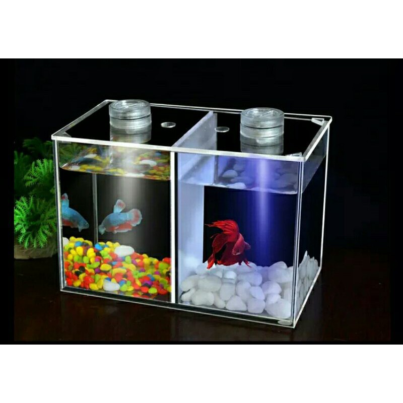 Acrylic Fish Tank for Betta Guppy Fish Isolation Box with Divider