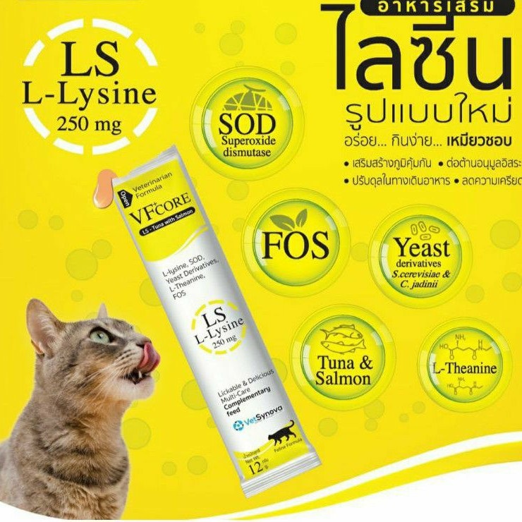 (1 Sachet) VFcore Lysine Vitamin Cat Enhance Immunity. Cold Flu