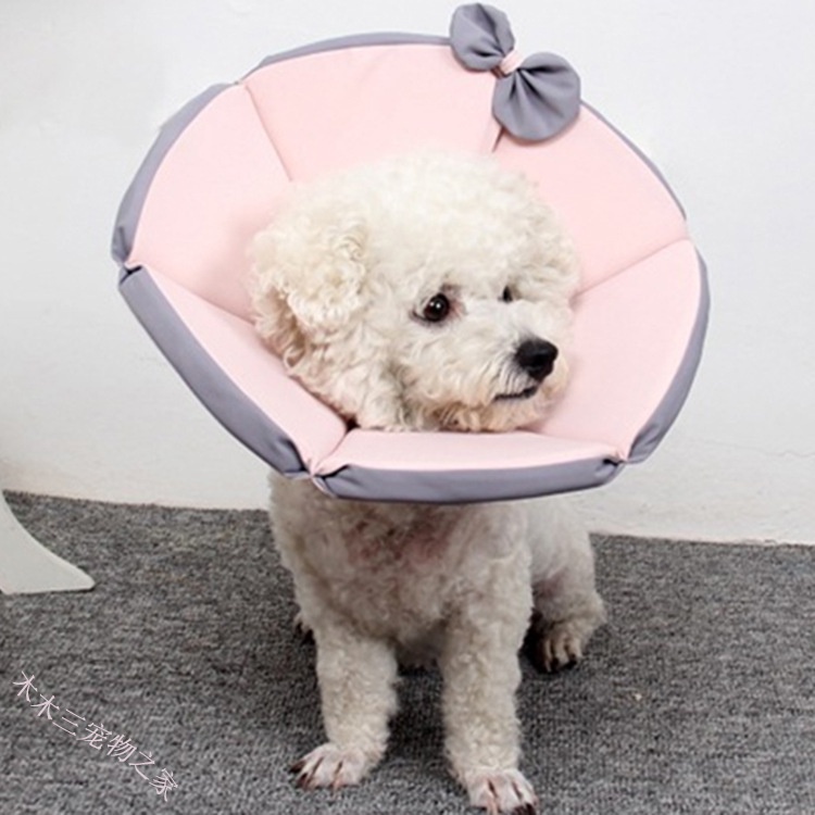 Dog E Collar Pet Cone Comfort Cushion Design Elizabethan Collar Protect
