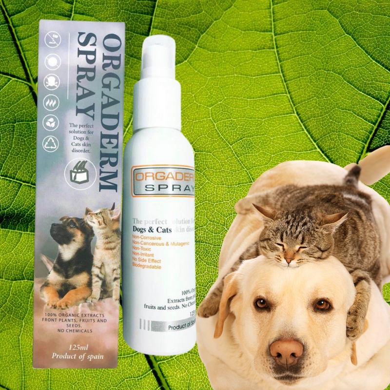 ORGADERM SPRAY (PET) dog cat skin infection spray antiseptic 125ml