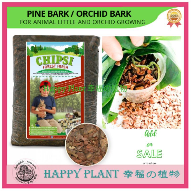 Orchid potting mix orchid bark pine bark Aroid mix good drainage for monstera caladium