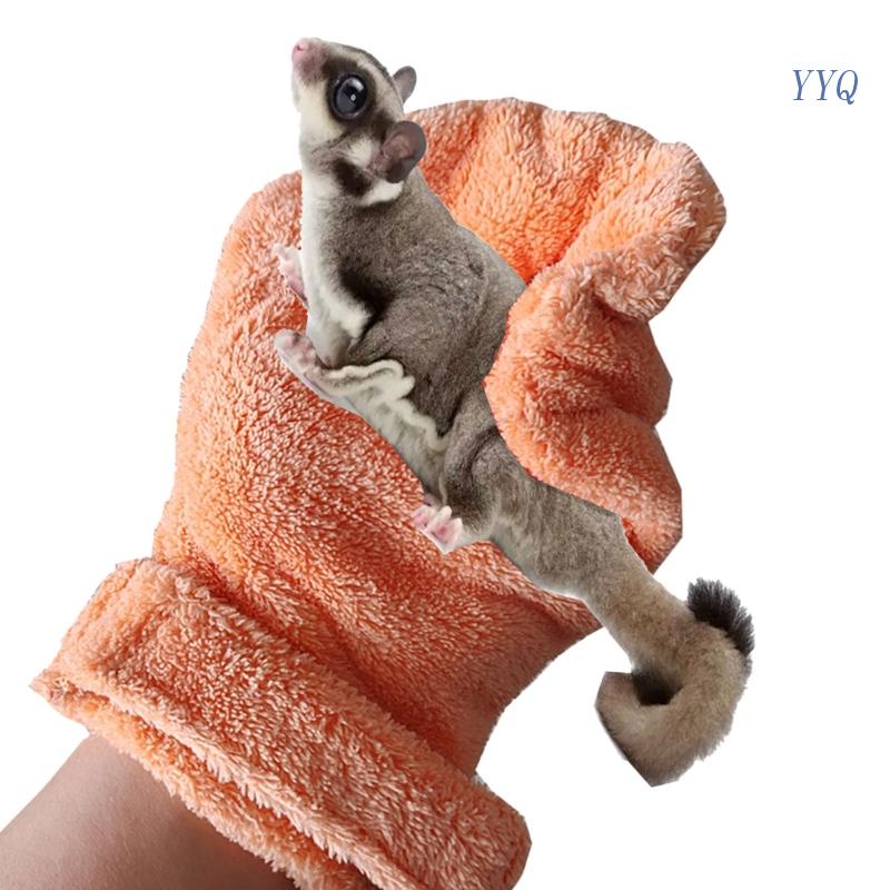 YYQ Sugar Glider Bonding Mitt Small Animal Handling Glove Rat Accessories Hedgehog Shopee Malaysia