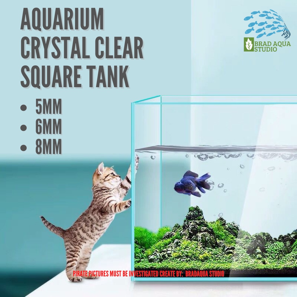 AQUARIUM Fish Tank Crystal Clear Tank Square Tank 5mm/ 6mm/ 8mm