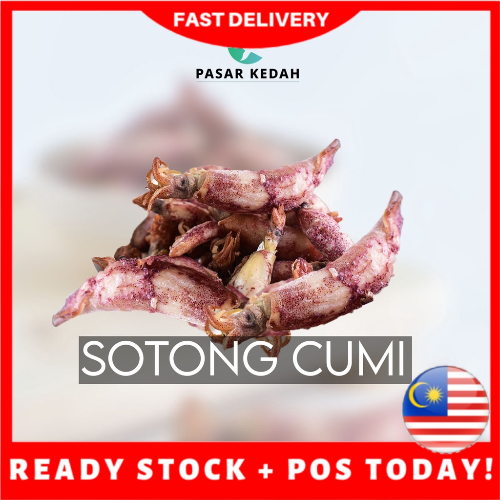 Sotong Cumi Tanjung Dawai Dried Baby Squid 100g Shopee Malaysia