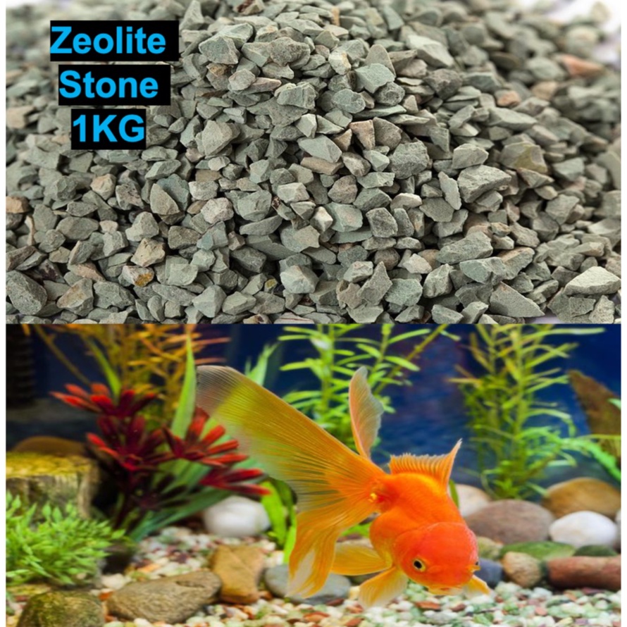 Zeolite Stone Aquarium Filter Media / Removes Ammonia in Water 1kg