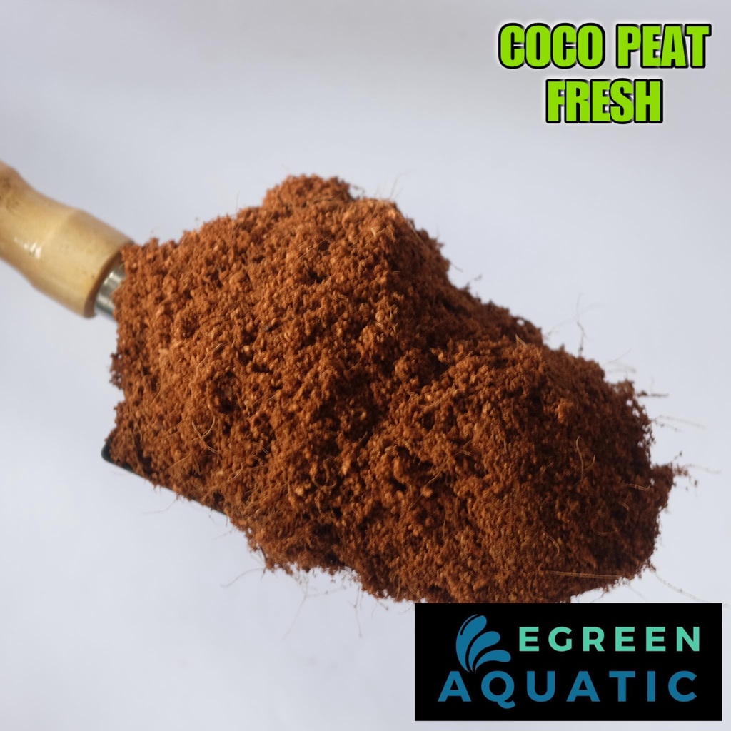 Coco Peat 2Liters Tarantula Bedding Substrate Spider Litter Shopee