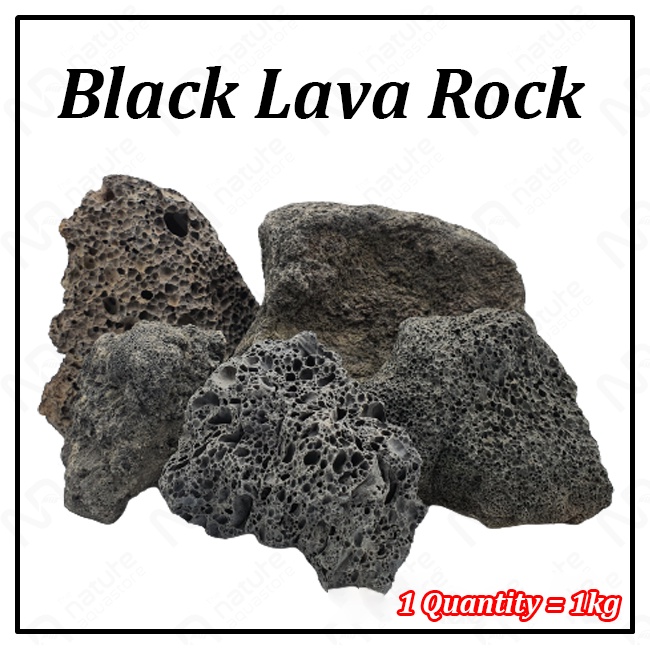 Black Lava Rock Aquarium Aquascaping Stone Shopee Malaysia