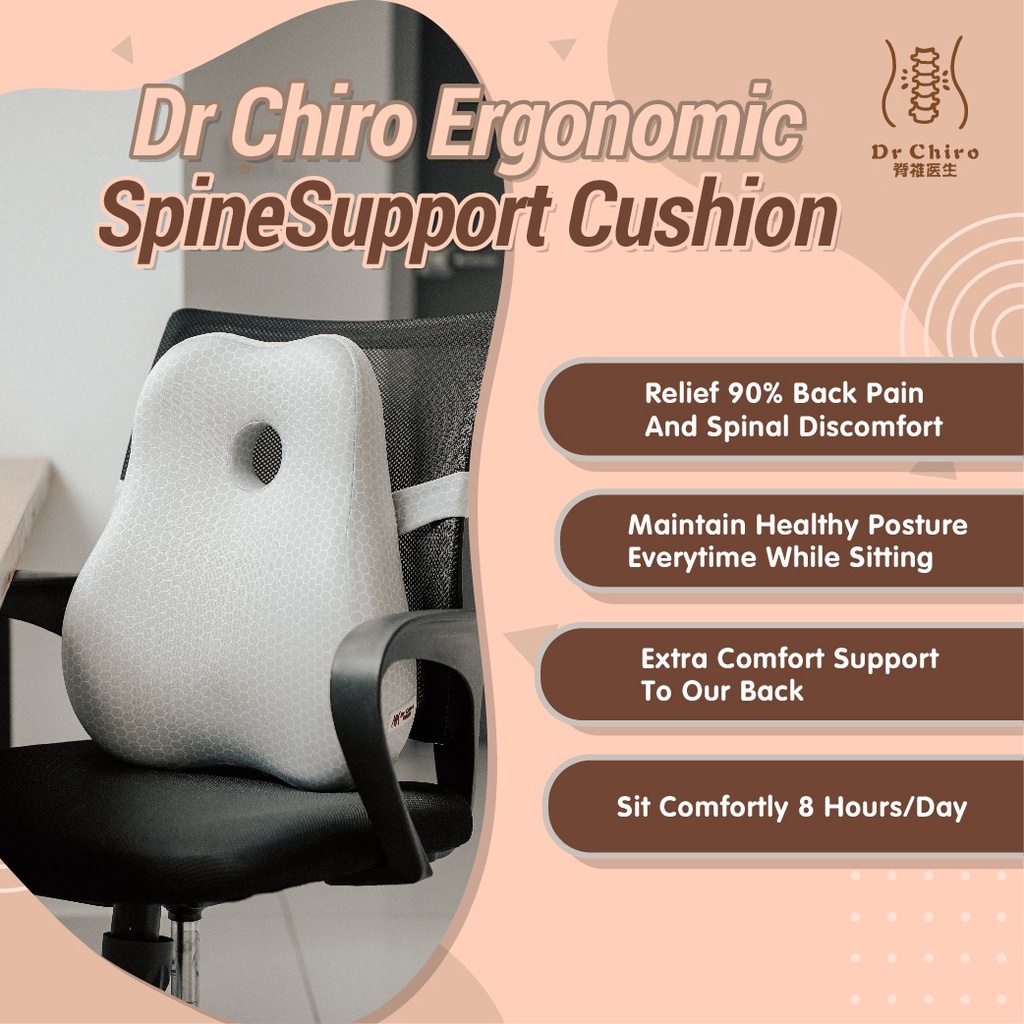 DrChiro Comfort Spine & Lumbar Support Back Cushion 脊椎垫 腰垫 Kusyen