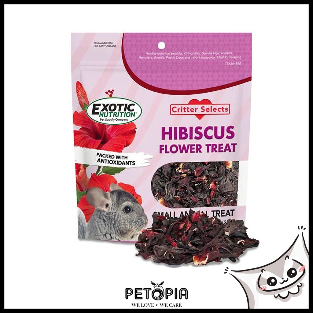 Exotic Nutrition Critter Selects Hibiscus flowers Treat [28g] PETOPIA