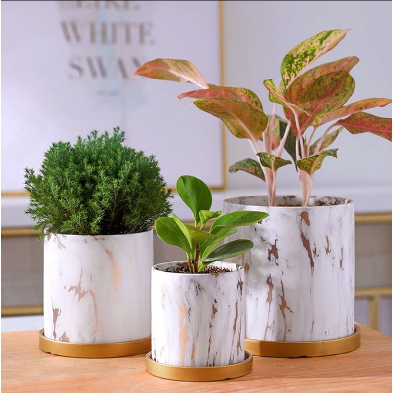 Ceramic Marble Pot with Gold Saucer / Pasu Gubahan Orkid Ceramik Marble