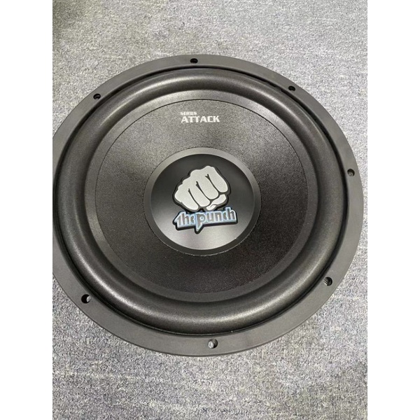the punch 12 High Power Subwoofer THC - 1250 12 High Power Subwoofer