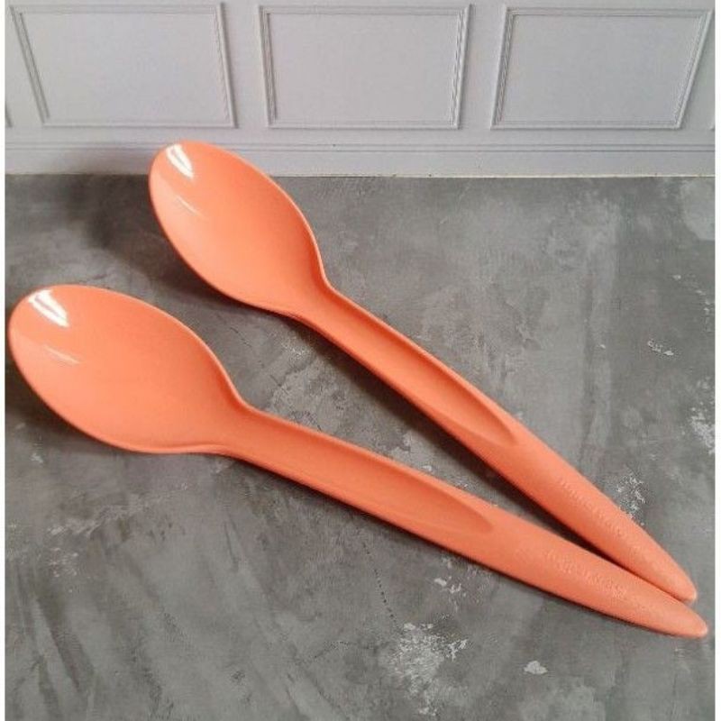 Serving Spoon Tupperware Insulated Spoon Tupperware Shopee Malaysia
