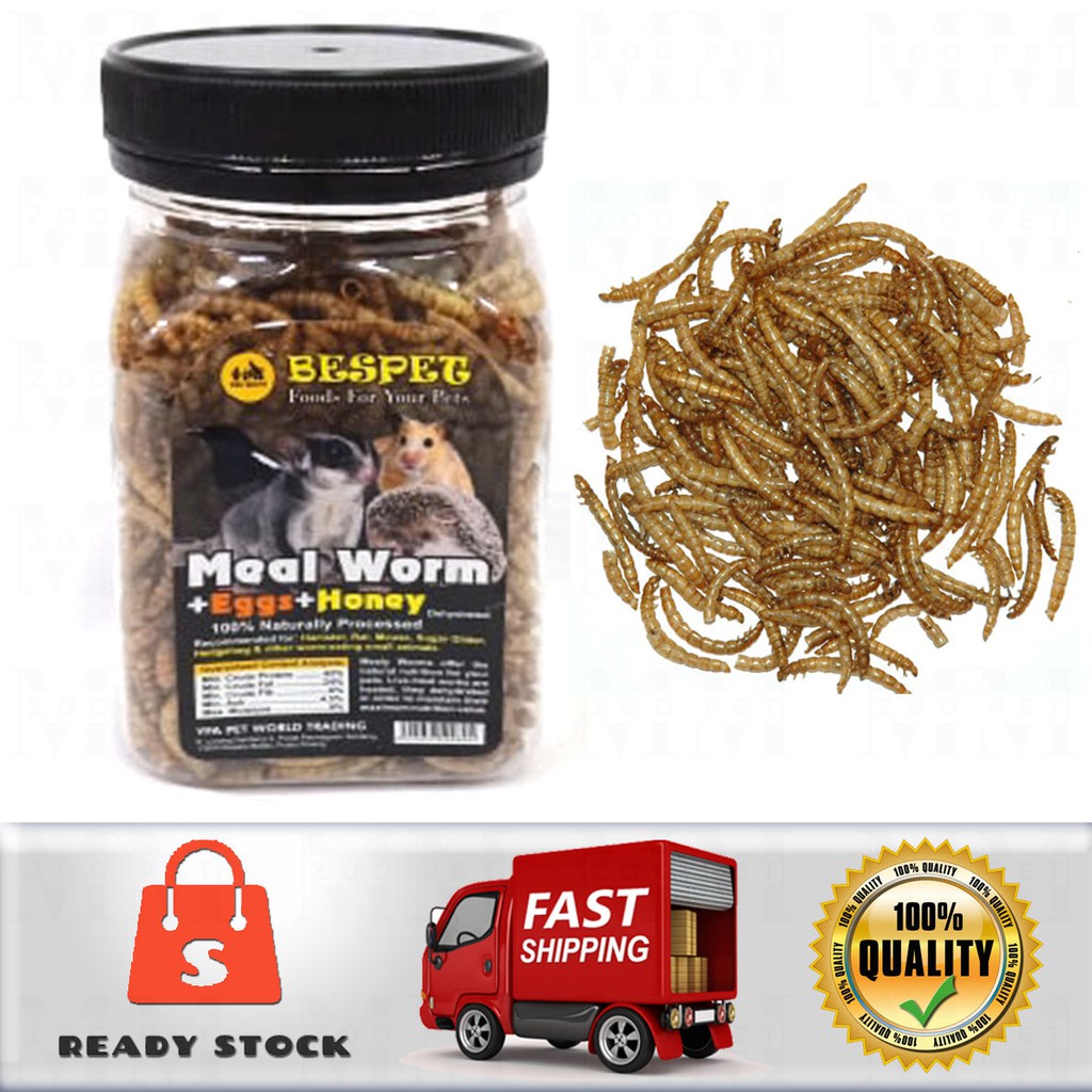 Meal Worm (Hamster Food/Rat Food/Mouse Food/Sugar Glider Food) 60g