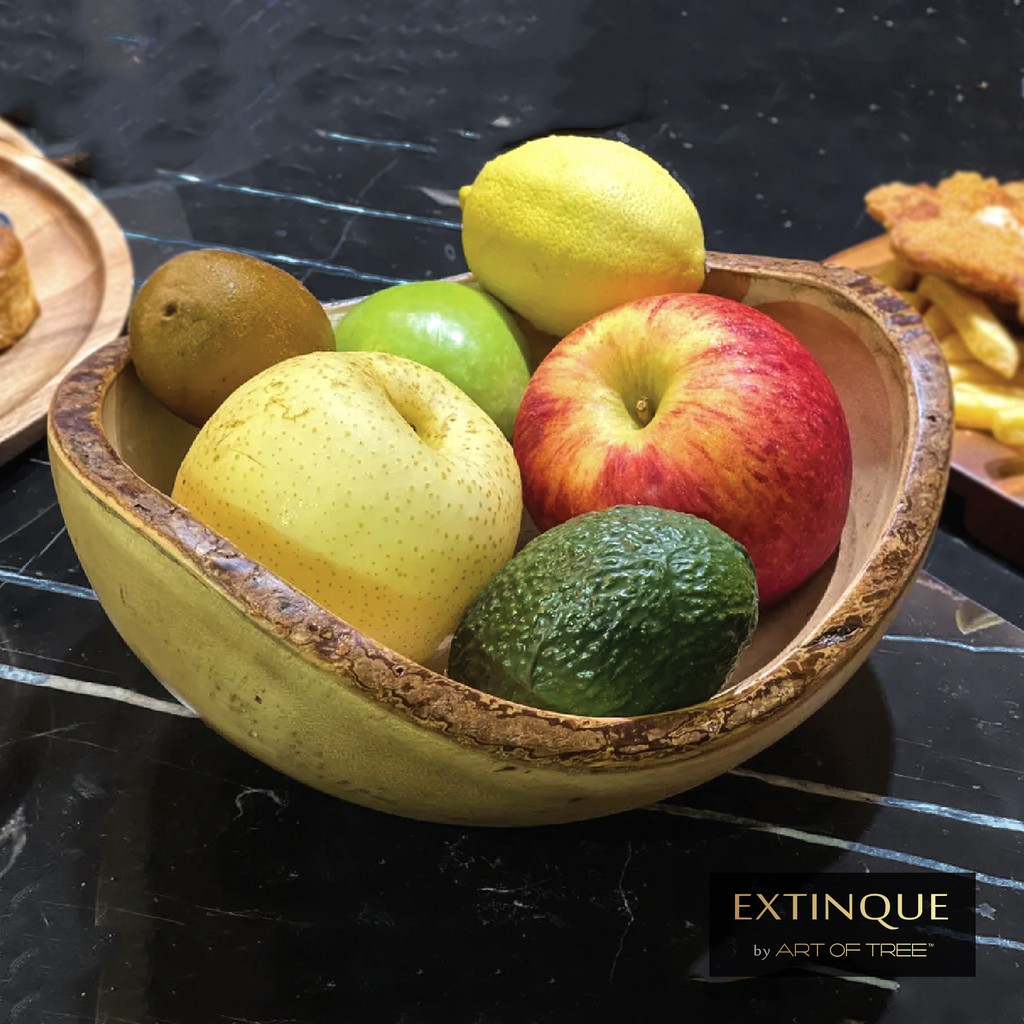 Art of Tree Rustic Natural Wood Fruit Bowl Raintree Food Safe Grade Coating / Mangkuk Buah