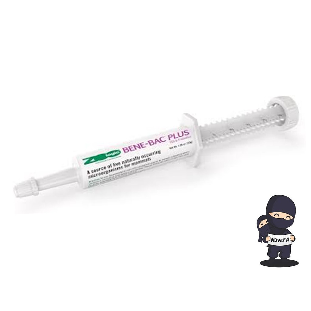 BeneBac Plus Probiotic Supplement Immune Support Help Digestion For