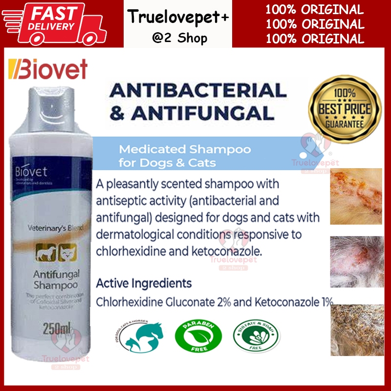 Biovet Pet Antibacterial Medicated Shampoo 250ML Pet Fungus Deodorizing