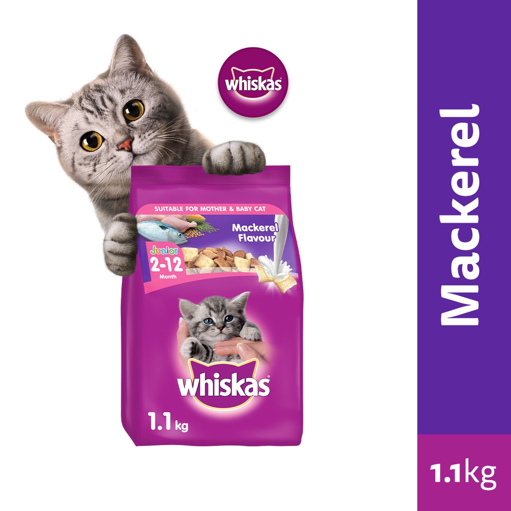 WHISKAS Junior Mackerel Flavor with Milk Kitten Food, 1.1 kg. Dry Cat Food for Kittens Shopee