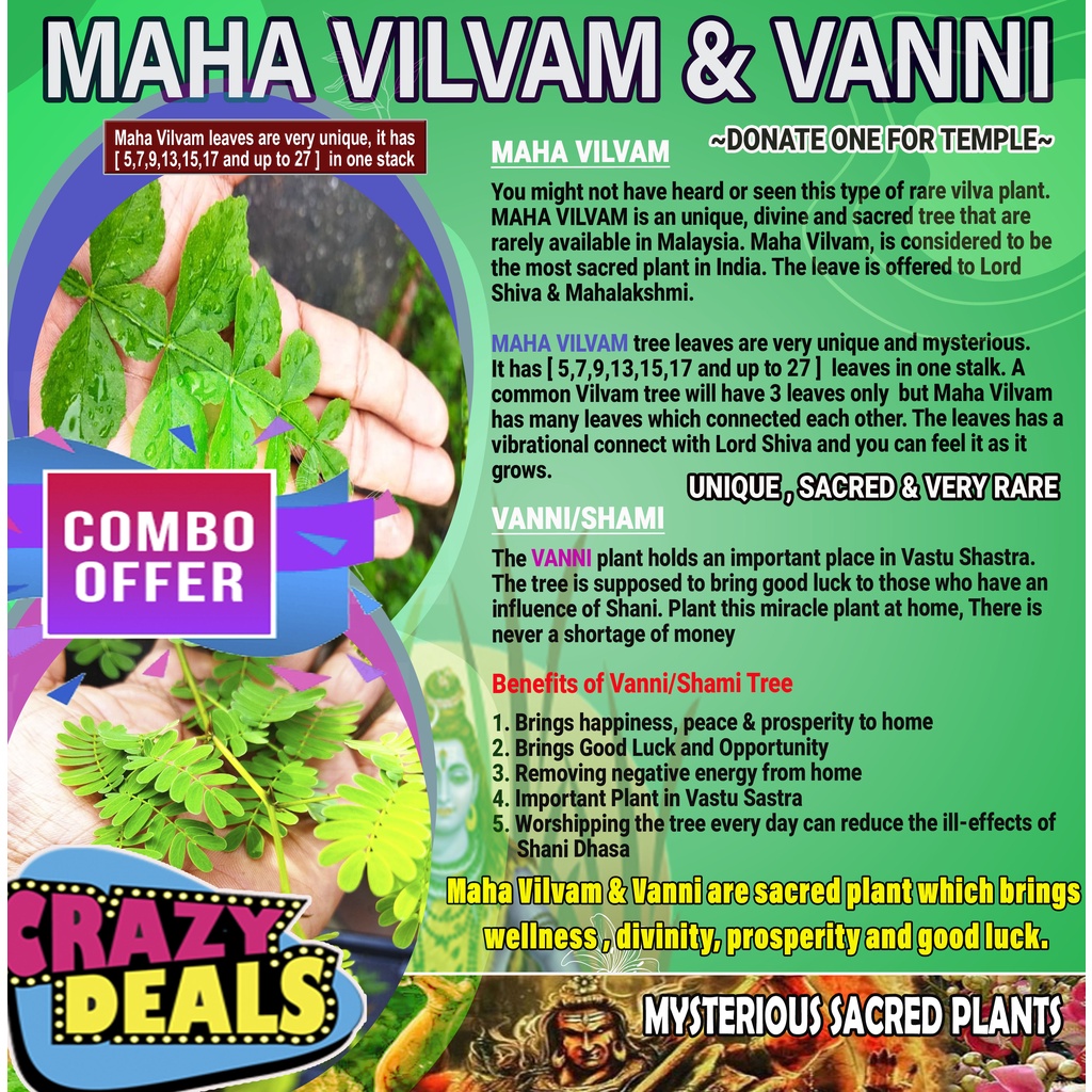 COMBO OFFER MAHA VILVAM + VANNI PLANT +RUDRAKCHA TREE Shopee Malaysia