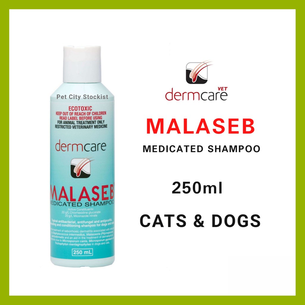 Malaseb Medicated Shampoo 250ml [ReadyStock] Shopee Malaysia