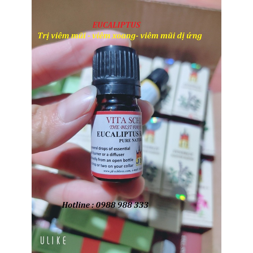 Rhinitis, Sinusitis Eucalyptus Jew (Israel) Shopee Malaysia