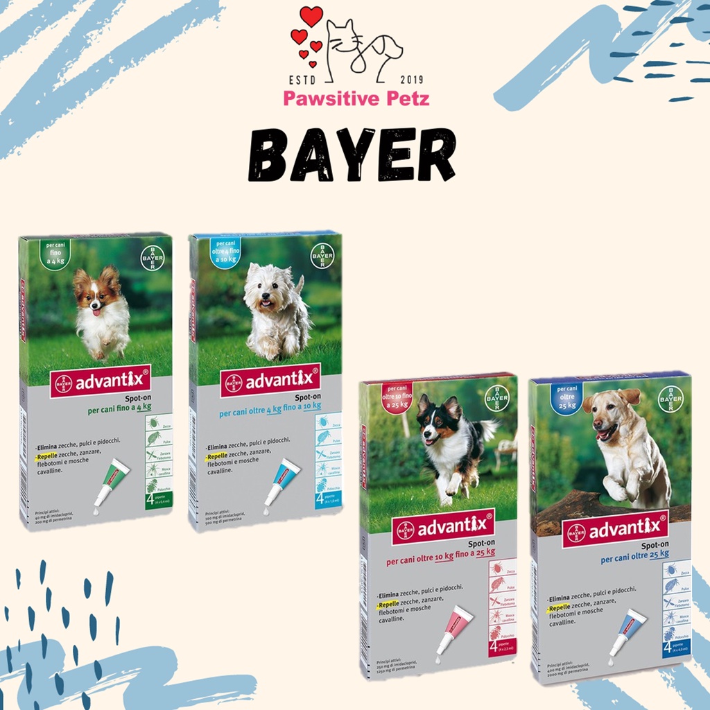 Bayer Advantage Dog Flea & Lice Treatment For Dog L 10 25kg (1pcs