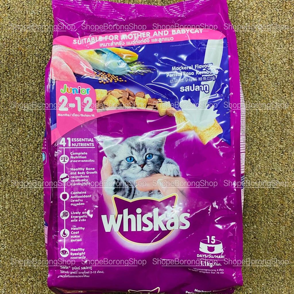 WHISKAS Dry Cat Food Junior Mackerel 1.1kg Cat Dry Food Shopee Malaysia